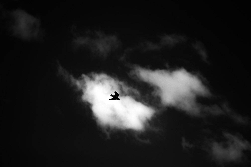 Photograph by Hussein Twaj