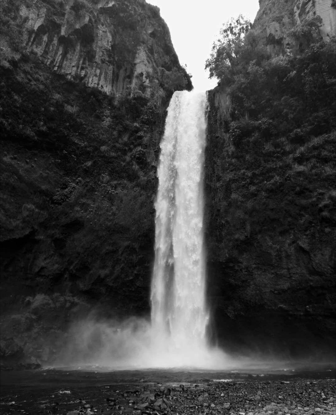 Photo #5047780
