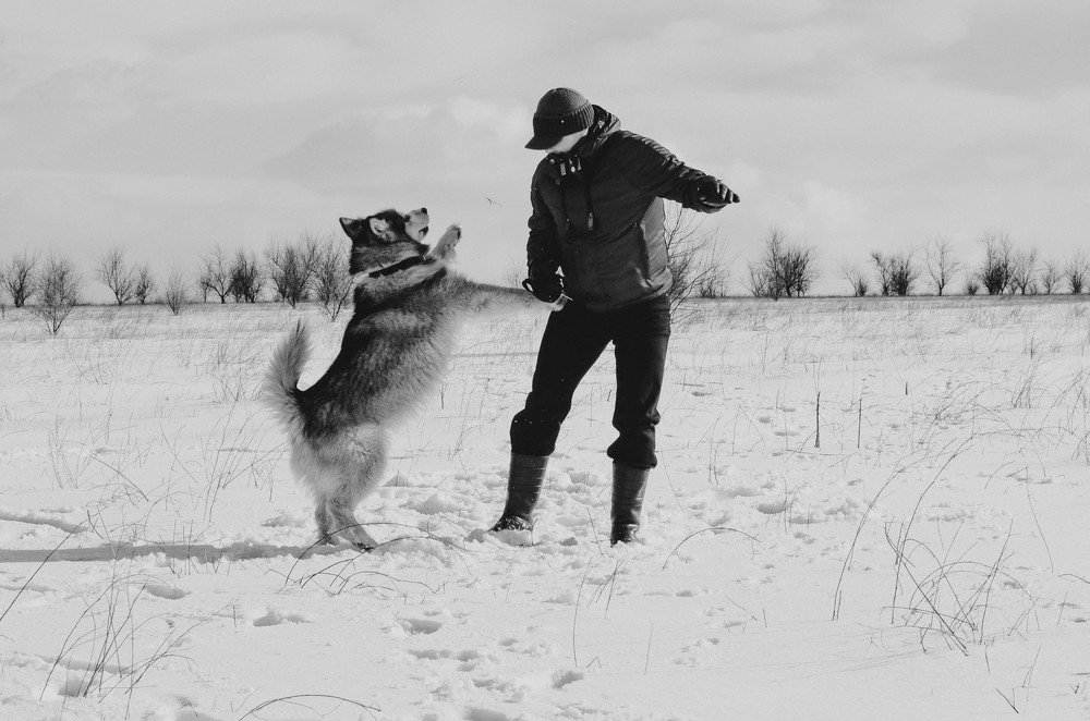 Фотография автора Виктория