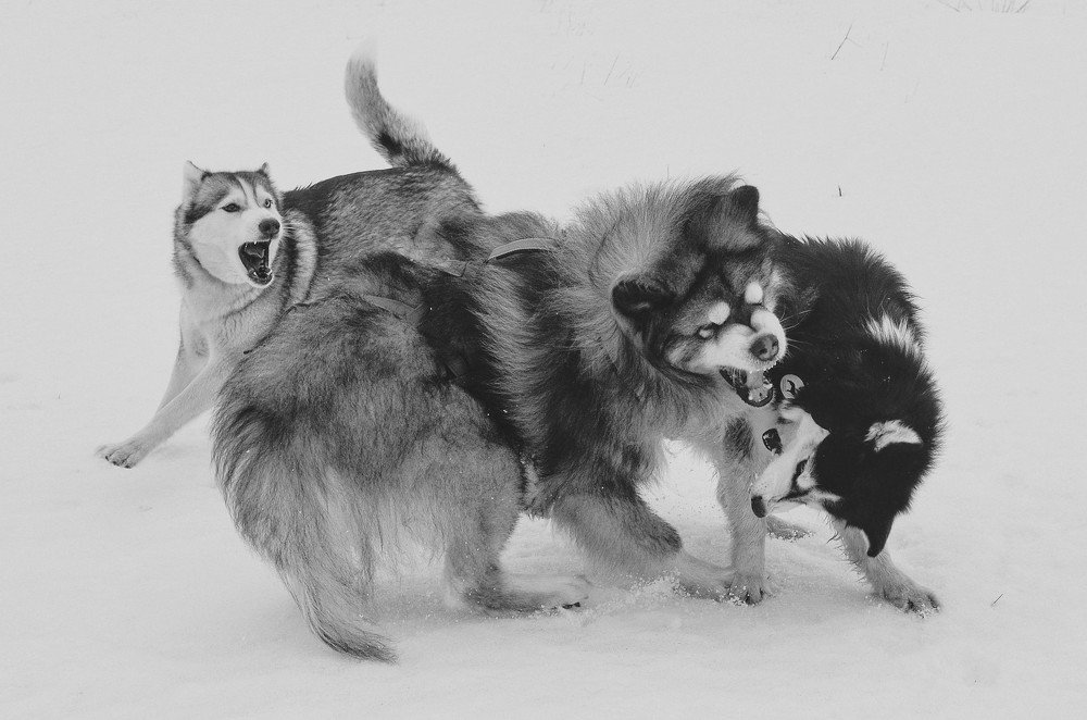 Фотография автора Виктория