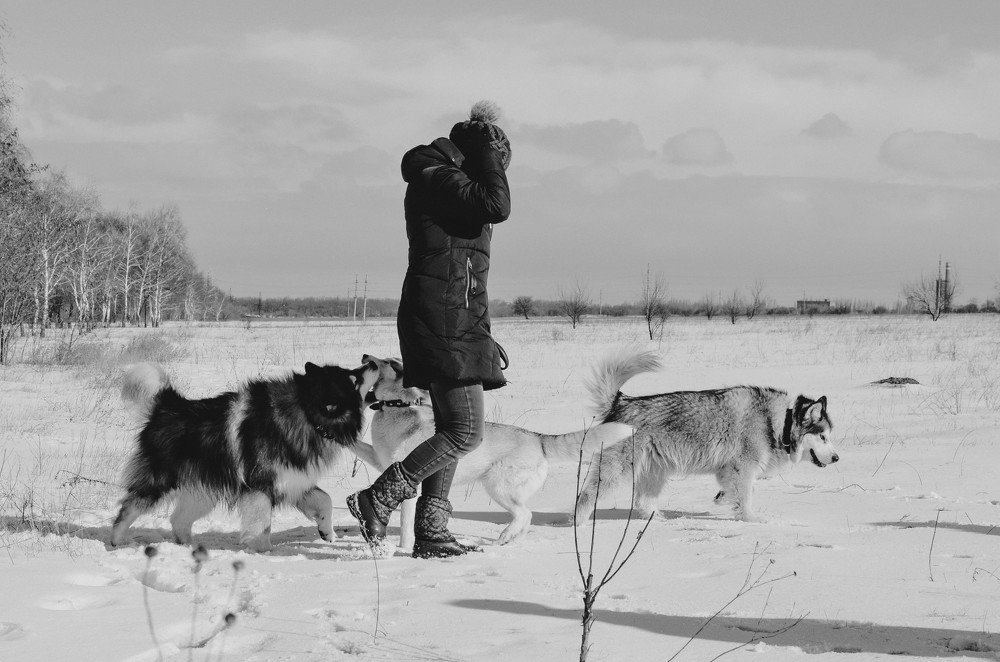 Фотография автора Виктория