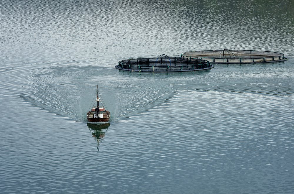 Photograph by Ozlem Ozyun