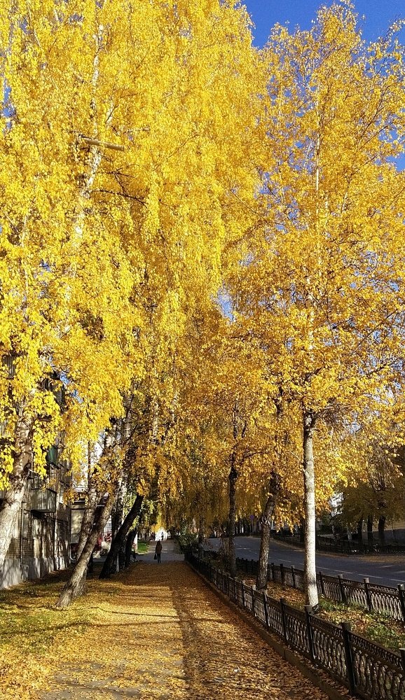 Photograph by Александра Лукашевич