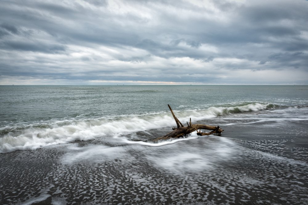 Photograph by Ozlem Ozyun