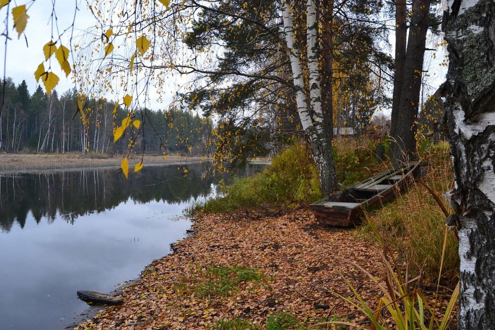 Photograph by Наталья Слудникова