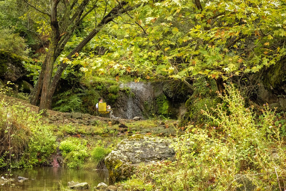 Photograph by Ozlem Ozyun