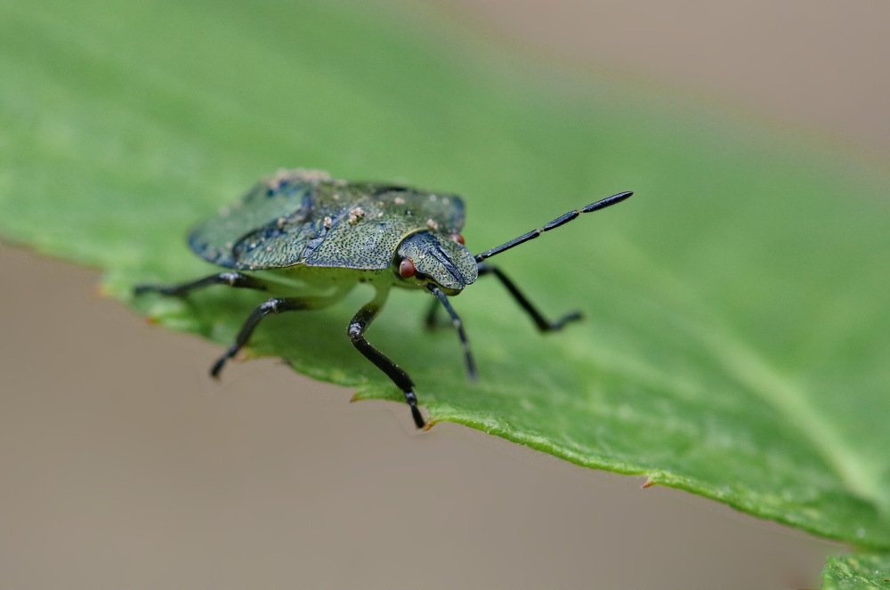 Photograph by Игорь Осипов