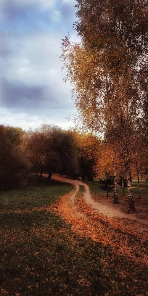 Photograph by Юлия Марфонова