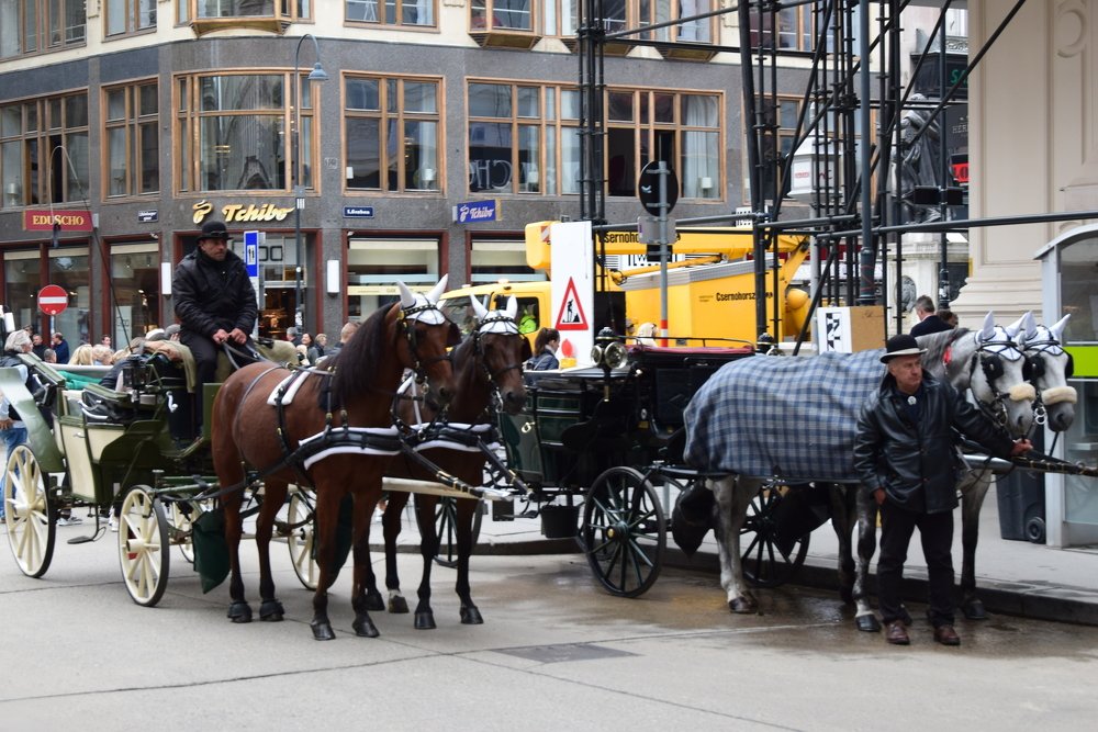 Photograph by Galina Leskova