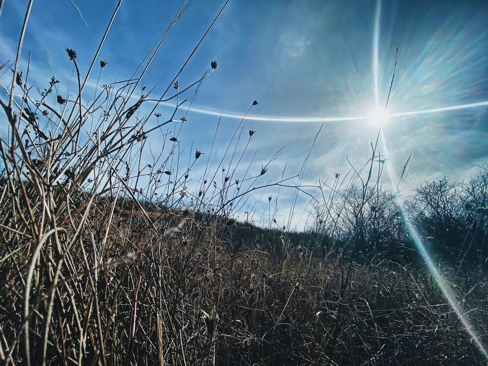 Photograph by Ольга Петухова