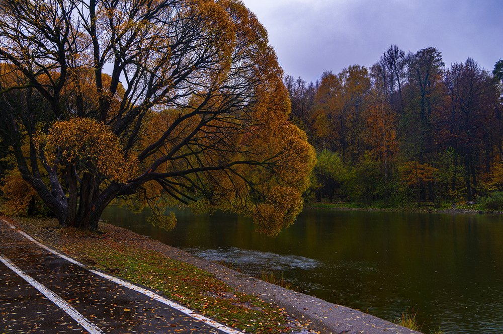 Photograph by Елена Вакумова