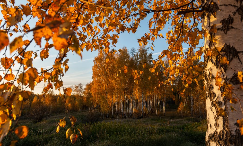 Photograph by Андрей Папанов