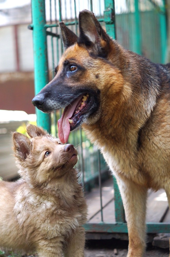 Photograph by Анастасия Клевец