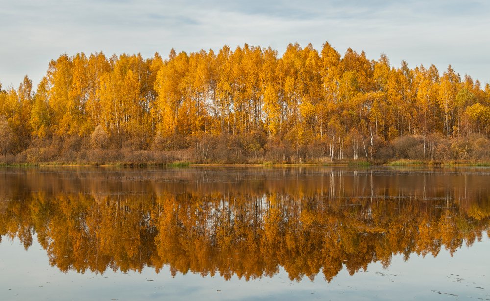 Photograph by Андрей Папанов