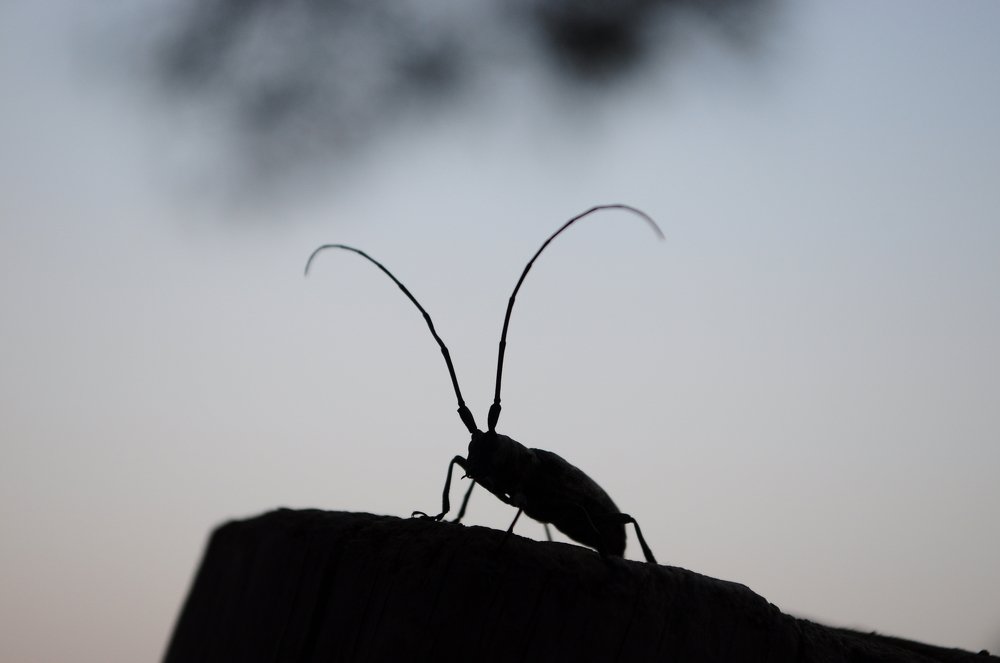 Photograph by Юлия Кравченко