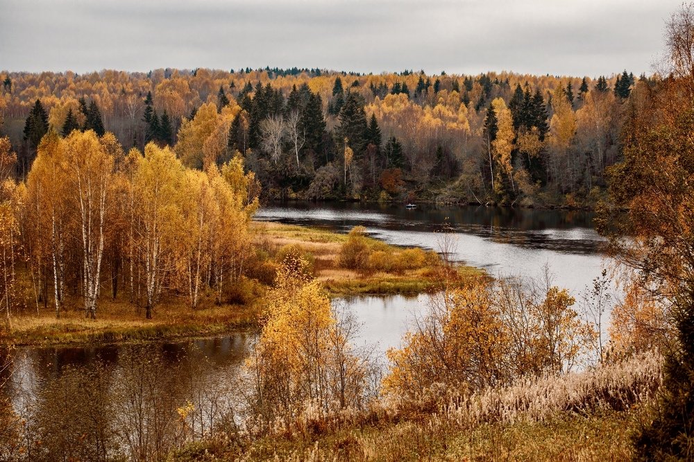 Фотография автора Мария Сурмачева