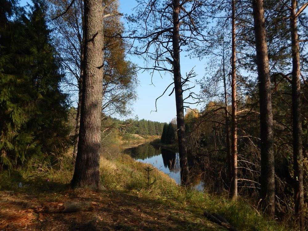 Photograph by Светлана