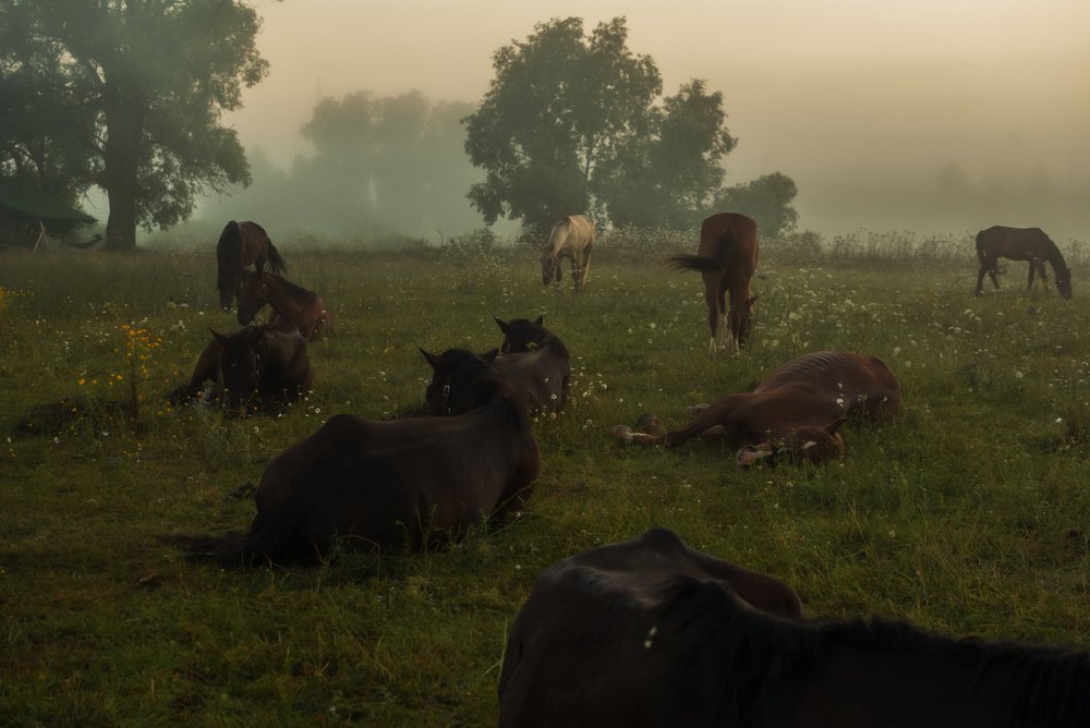 Photograph by Анна Городничева
