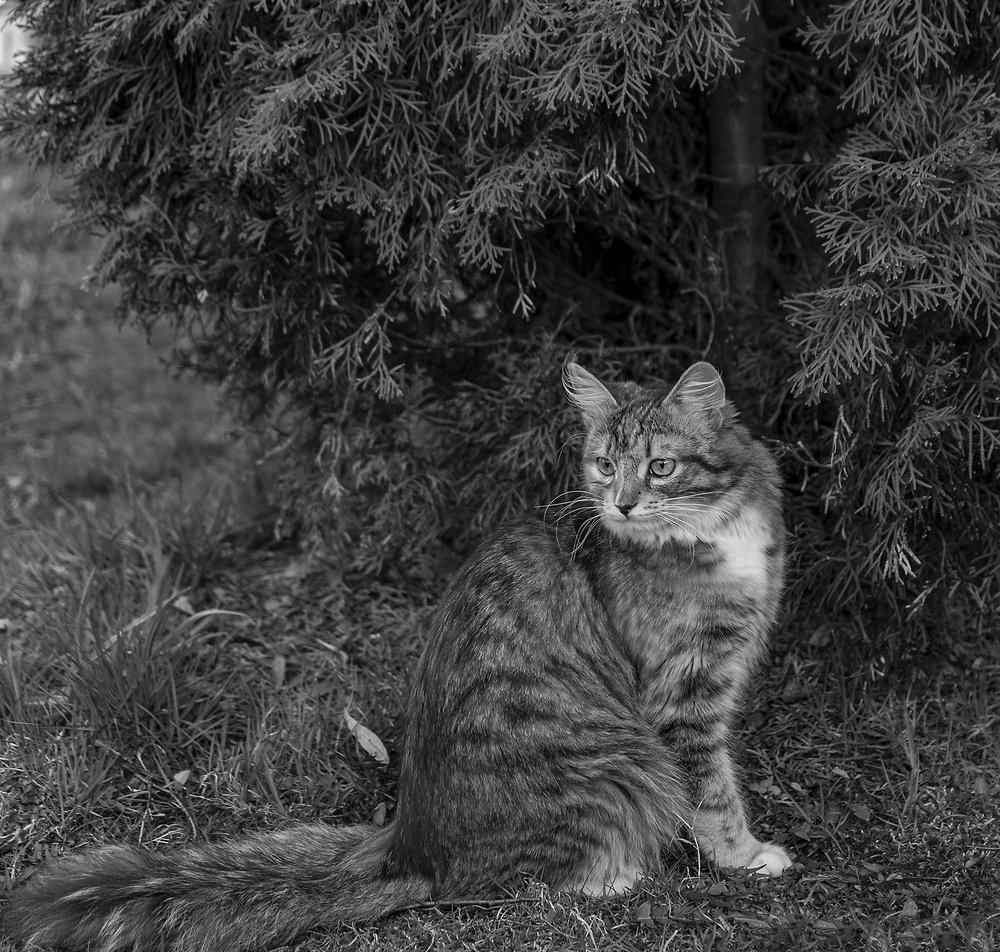 Photograph by Елена Вакумова