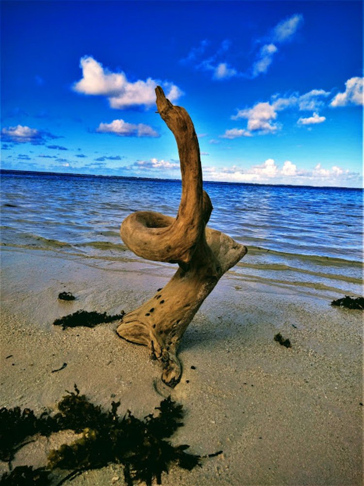 Photograph by Jms Augst