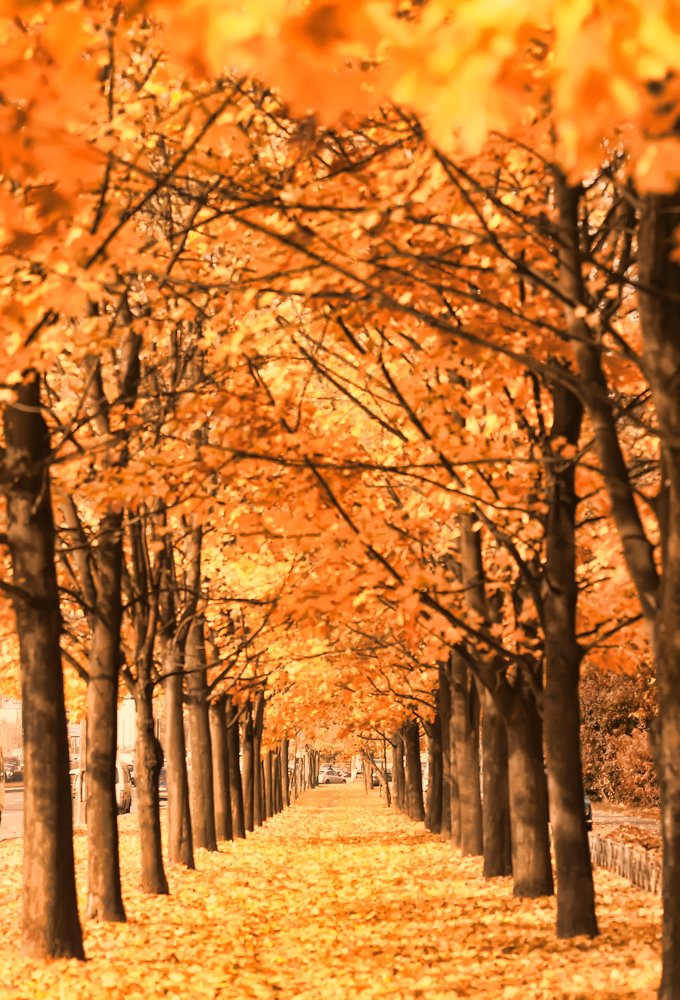 Photograph by Анна Кривицкая