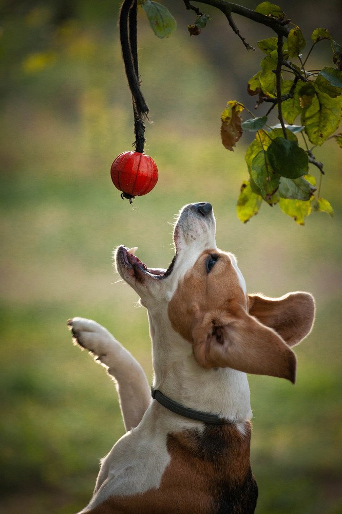 Photograph by Иван Мамонтов