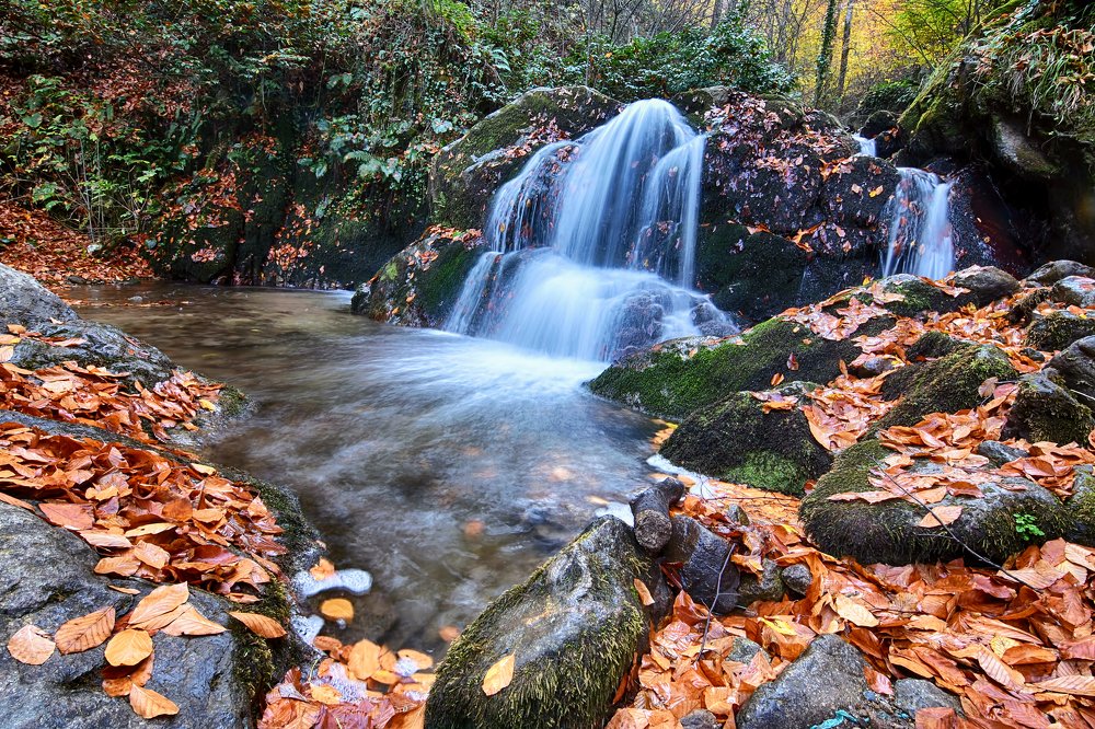 Фотография автора AYLIN EROZCAN