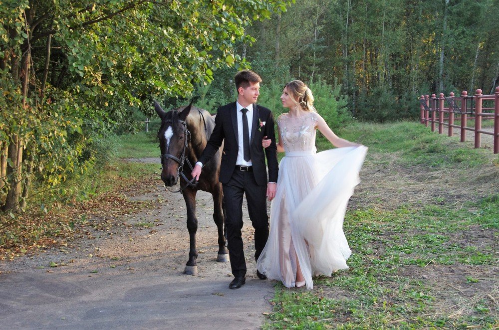 Мой всадник