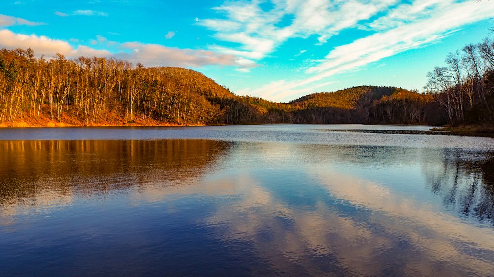 Фотография автора Olena Vorotyntseva