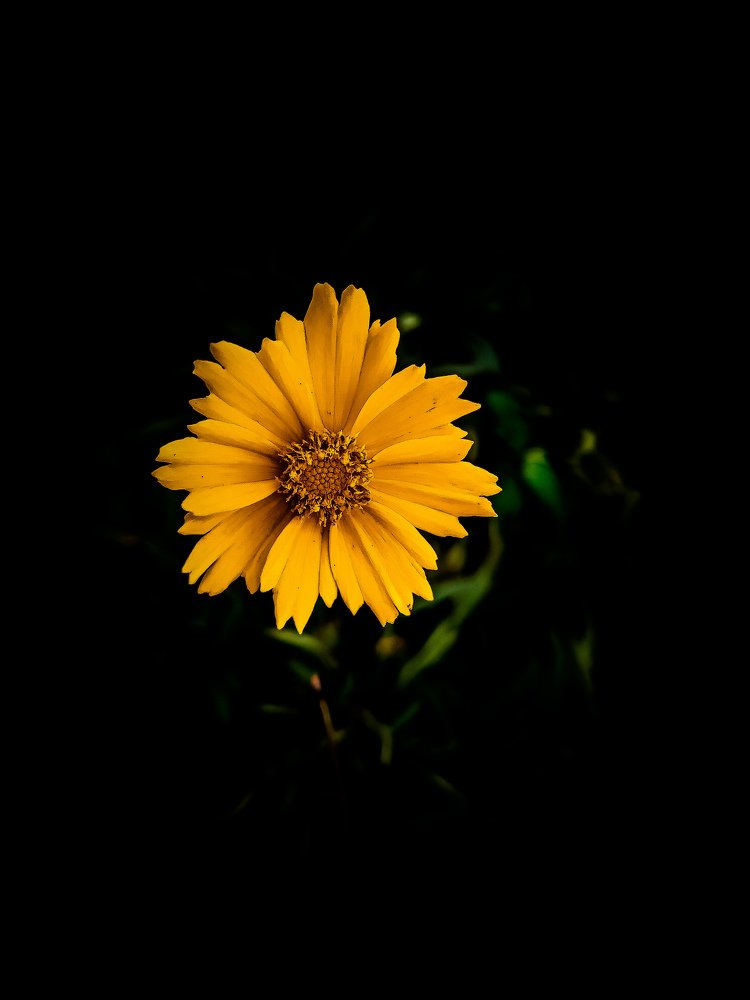 Photograph by Margaret Robert Bertram