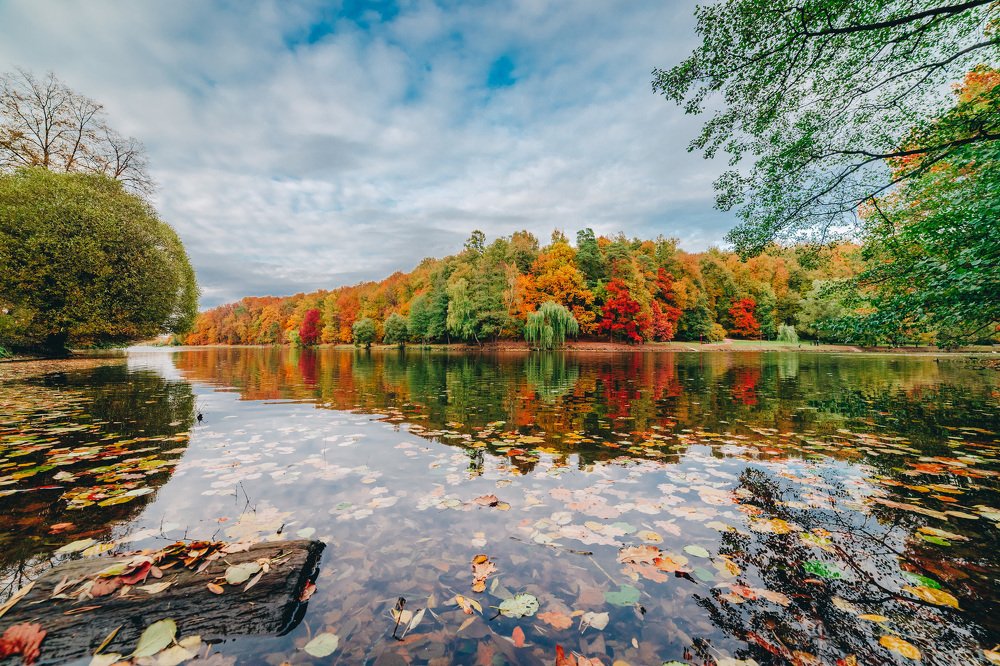 Фотография автора Роман