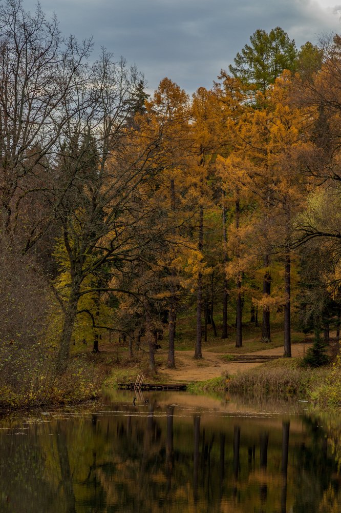 Фотография автора Роман