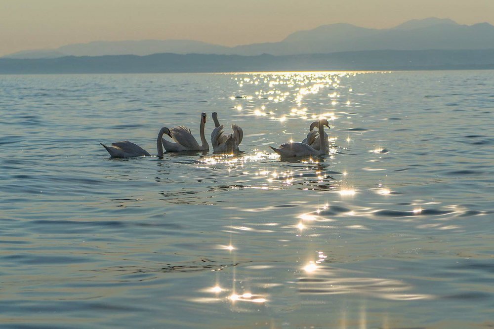 Photograph by Victor