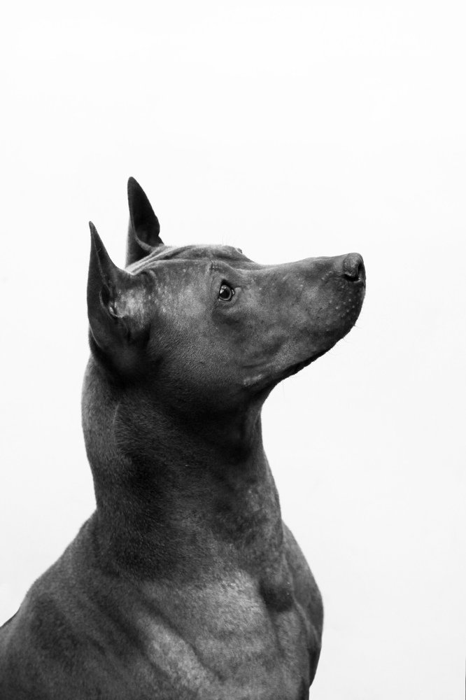 Photograph by Мария Утехина