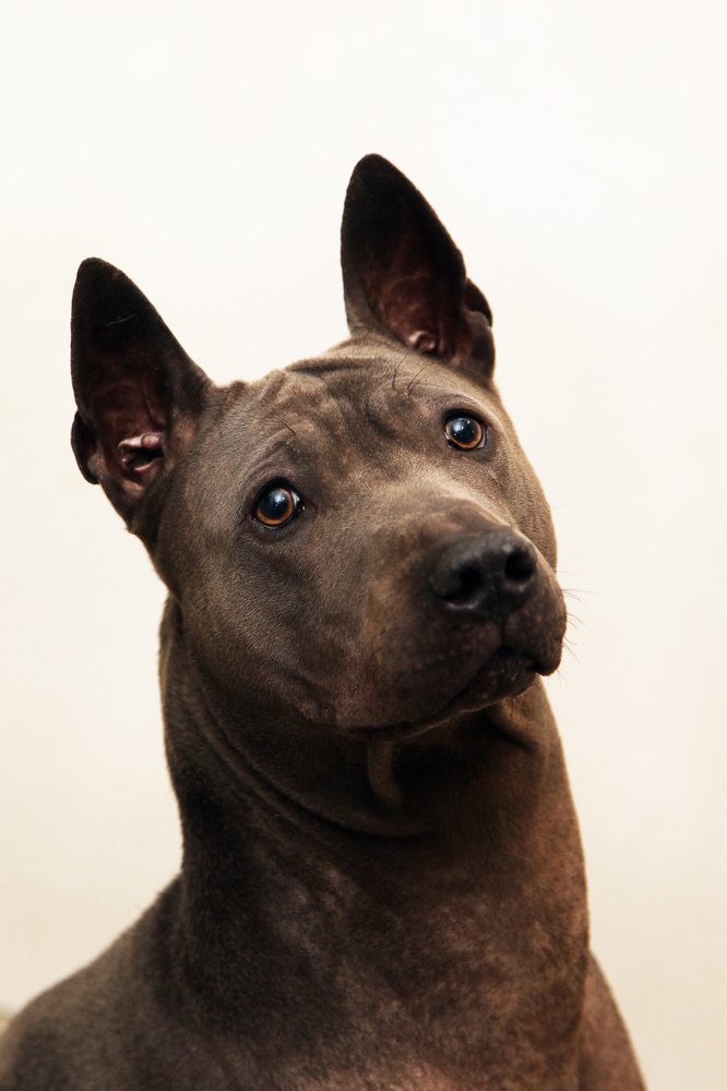 Photograph by Мария Утехина