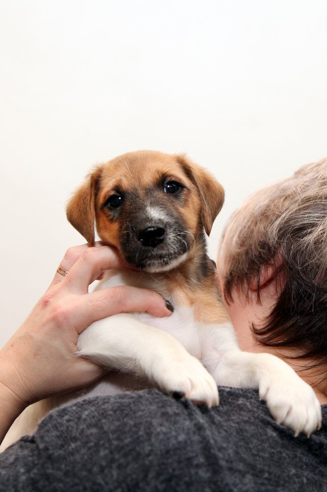 Photograph by Мария Утехина