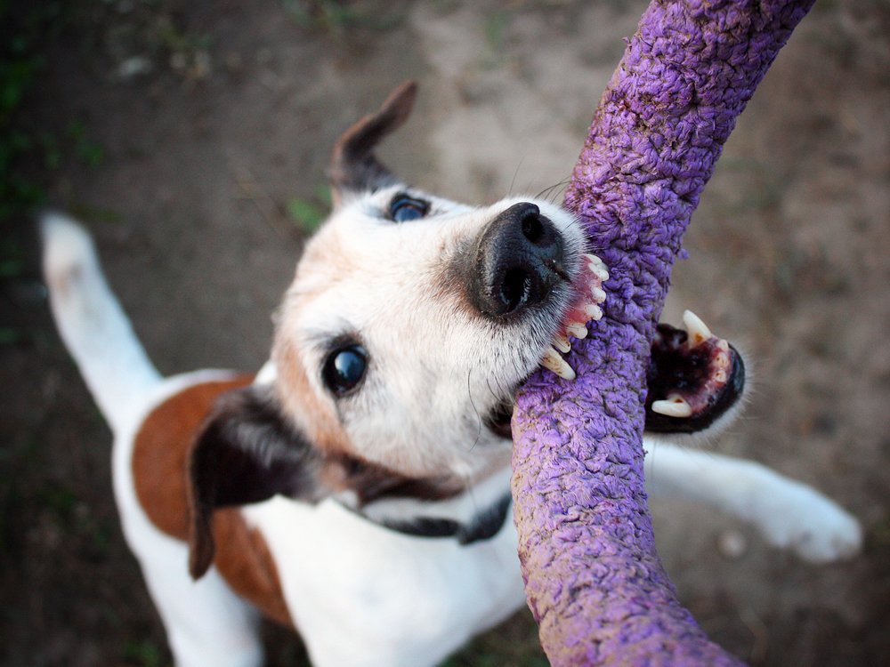 Photograph by Мария Утехина