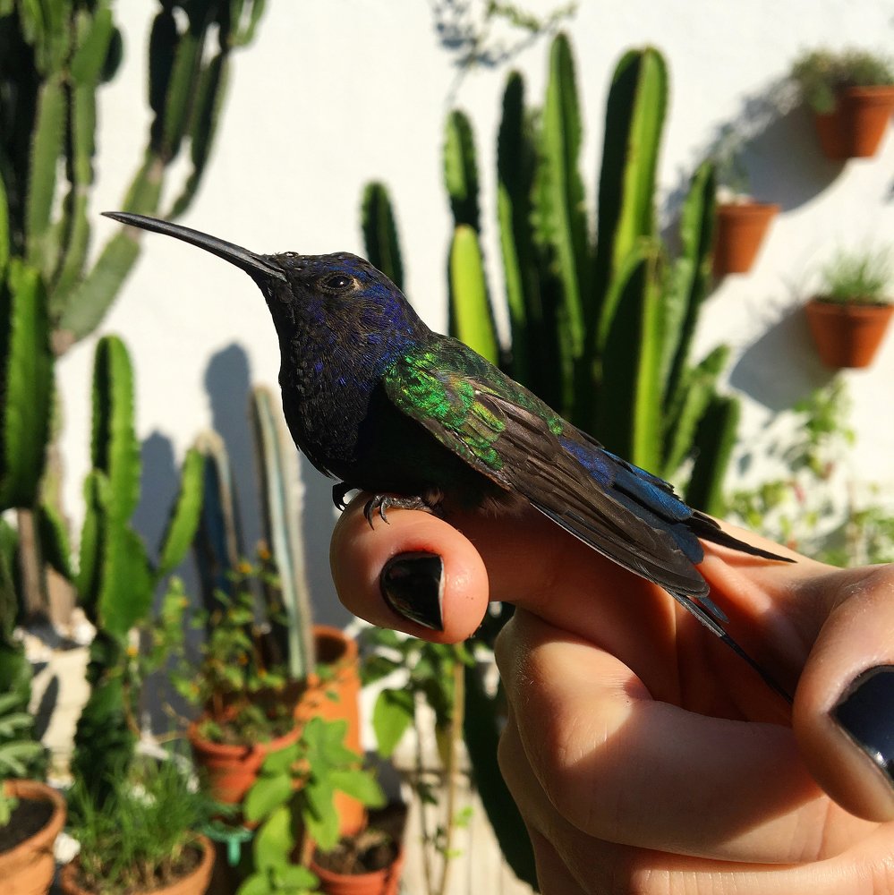 Photograph by Lisiane Kindlein