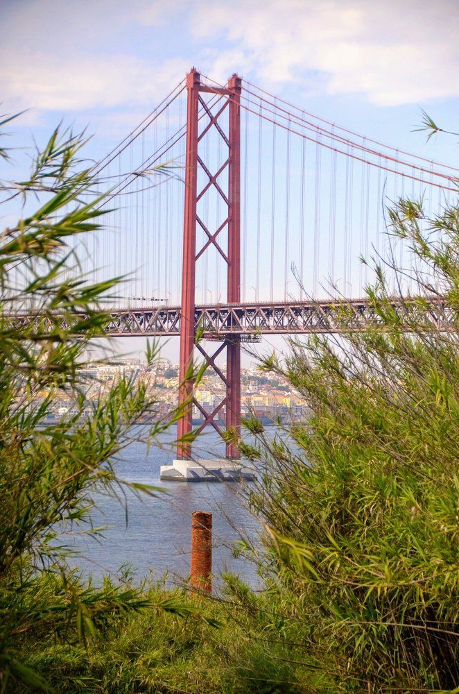 Photograph by Maria Teresa Teixeira de Sousa