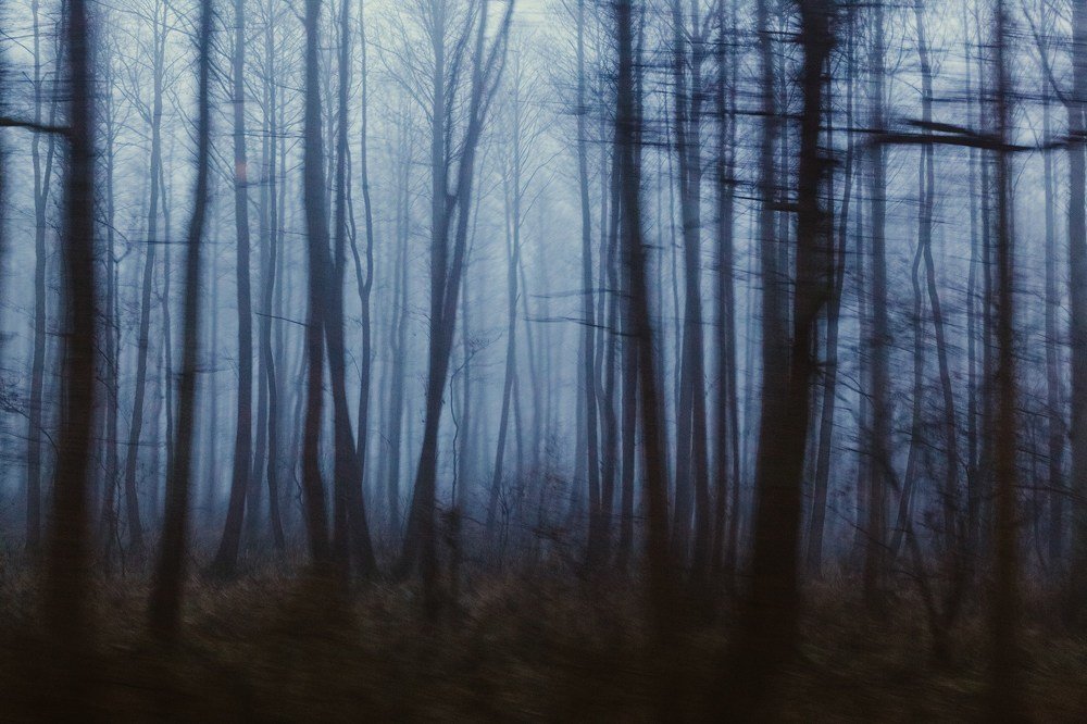 Photograph by Chev Photography