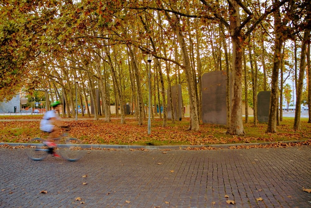 Photograph by Maria Teresa Teixeira de Sousa