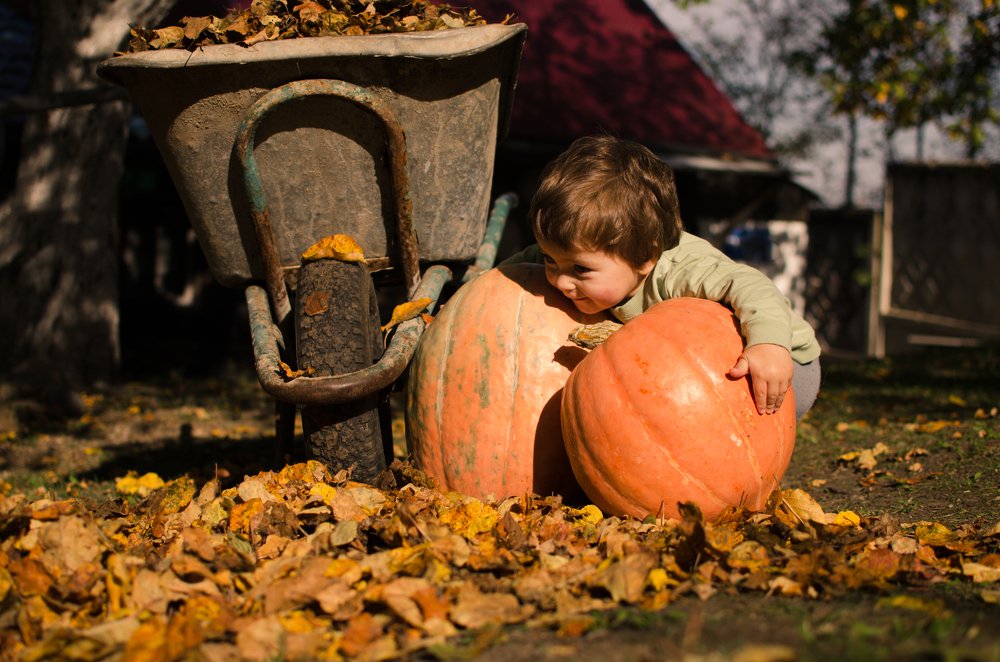 Photograph by Елизавета Фирстова