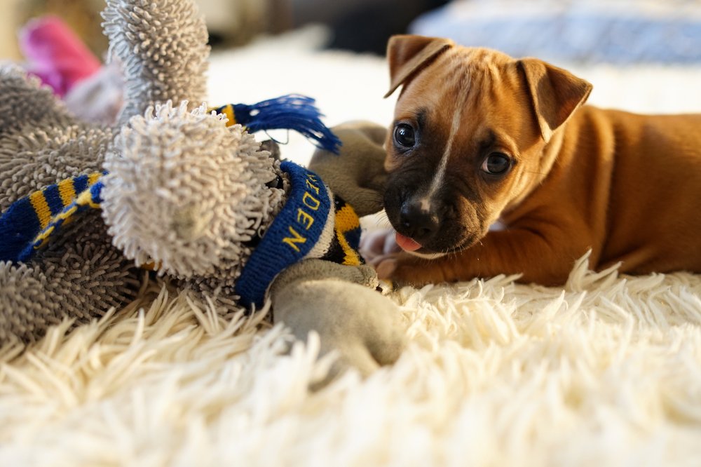 Photograph by Дарья Павленко