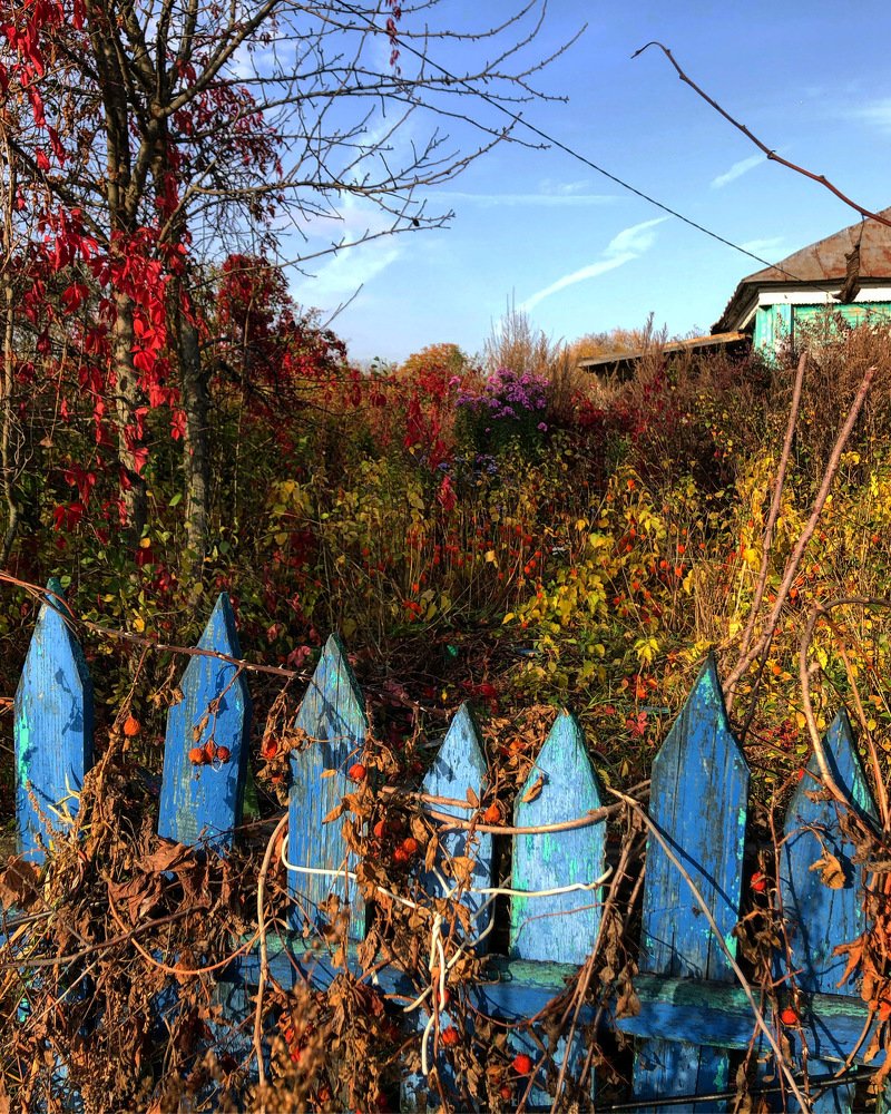 Photograph by Анатолий Чигин