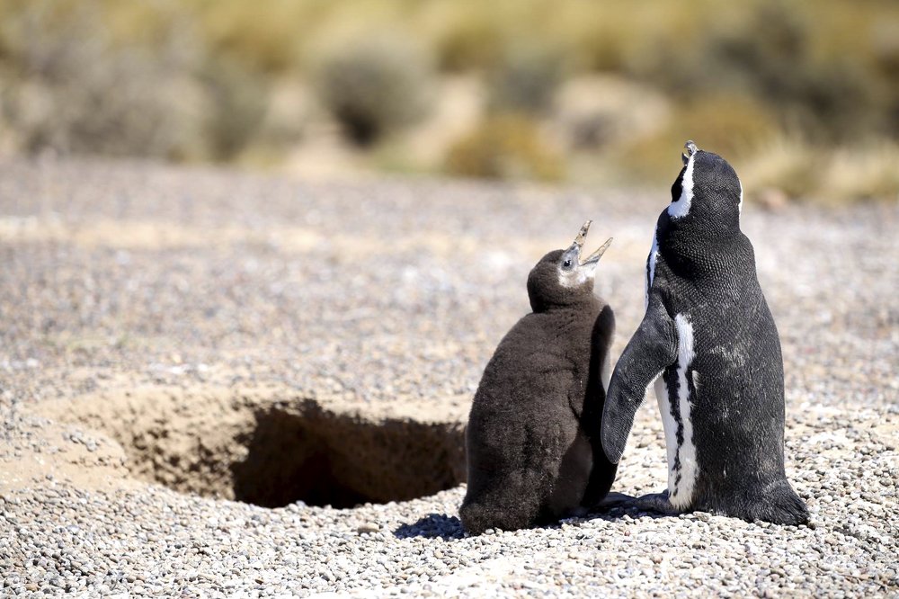 Photograph by Lisiane Kindlein