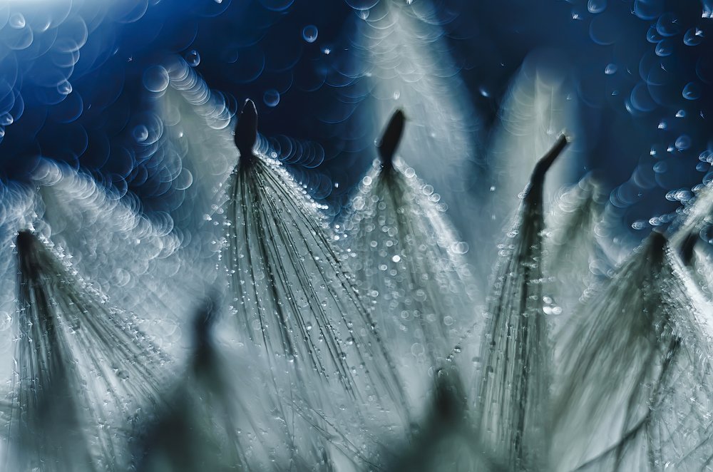 Photograph by Галина Царькова