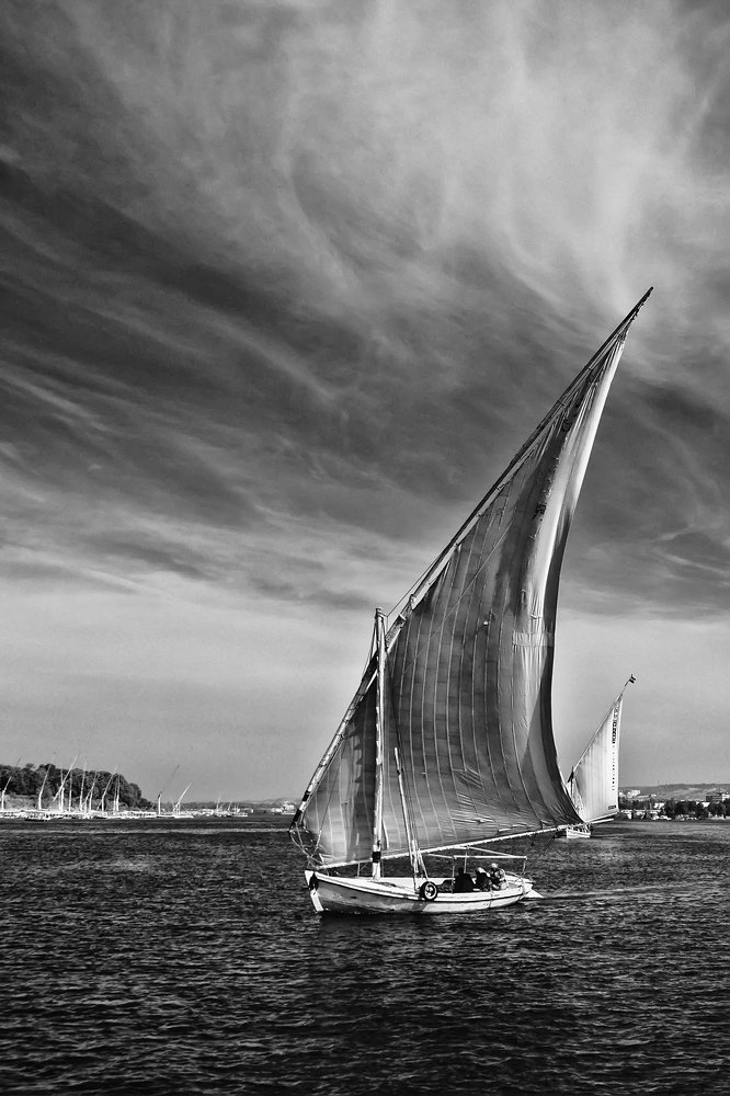 Egyptian Sailing