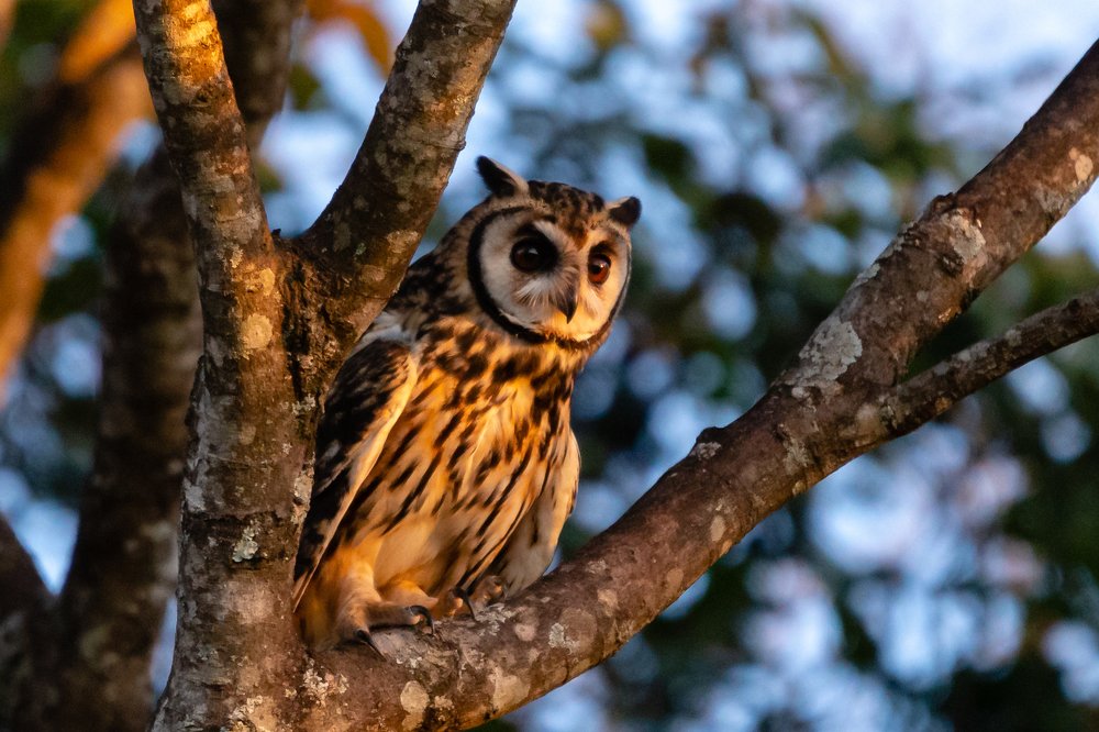 Photograph by Claudio Frateschi