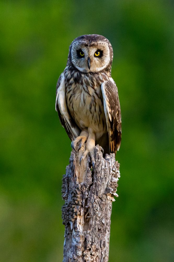 Photograph by Claudio Frateschi