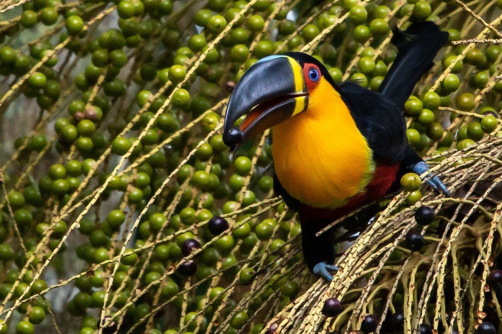 Photograph by Claudio Frateschi